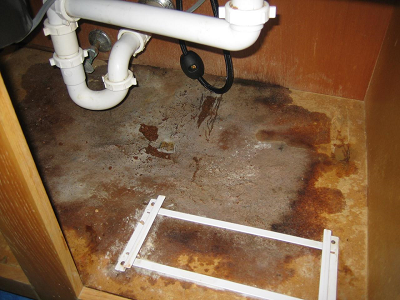 plumbing leak services